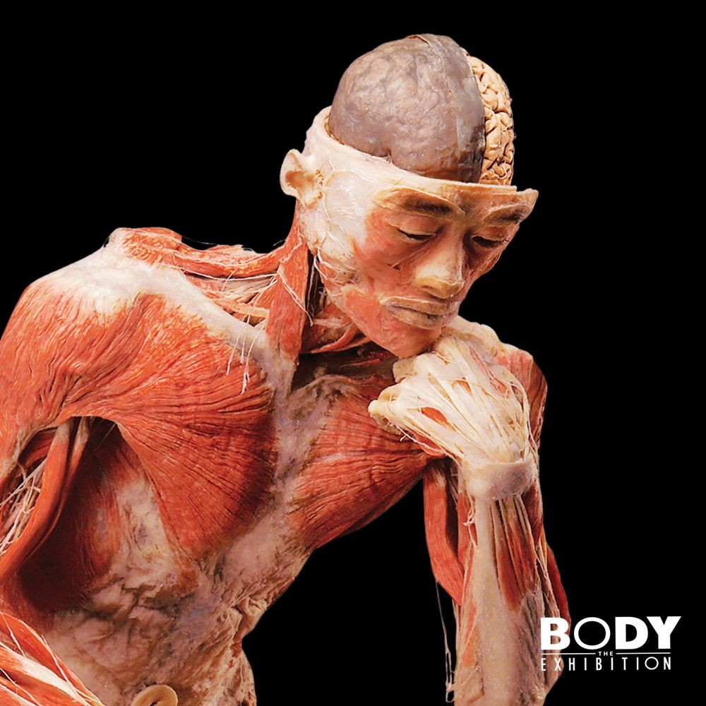 Body: the exhibition