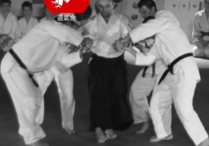 Aikido - sebeobrana