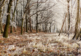 Adventní běh Orl. horami