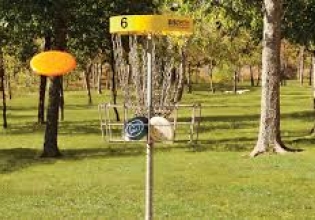 Discgolf